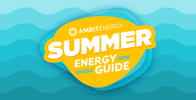 78% Off Summer Steals: The Ultimate Guide To Summer Savings! - zebr9g1